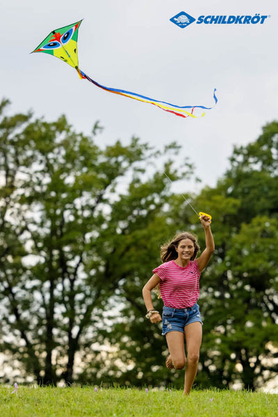 Schildkröt Funsports - Classic Kite 70 Crazybird