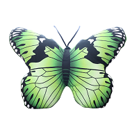 Maskottchen-Plüschkissen mit grünem Schmetterling, 50 x 40 cm